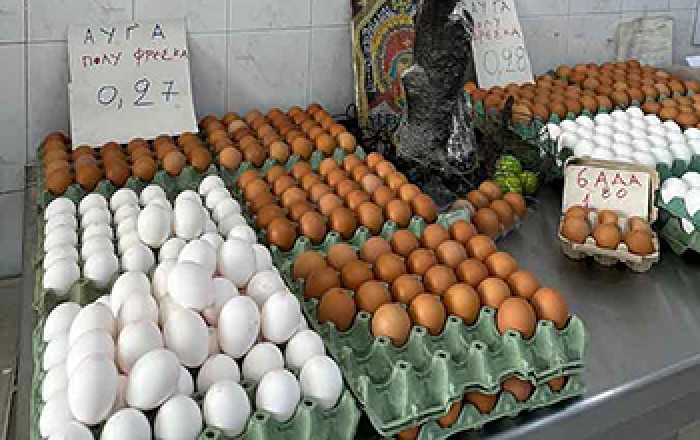 Αυγά - Πουλερικά