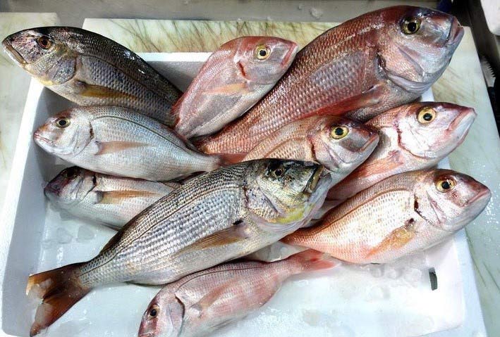 Ιχθυοπωλείο