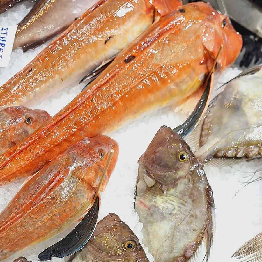 ΨΑΡΑΓΟΡΑ ΚΑΠΑΝΙ (ΑΣΚΗΤΟΥ) Ιχθυοπωλείο